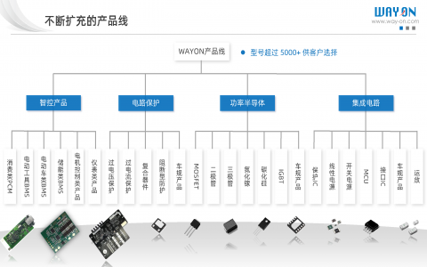 維安產(chǎn)品線(xiàn)(電路保護(hù)/功率半導(dǎo)體/IC產(chǎn)品/智控方案)